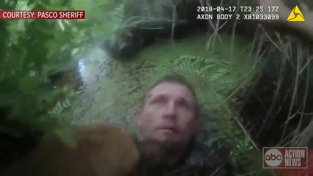 Quand des policiers trouvent un homme en fuite caché sous l'eau dans un marais