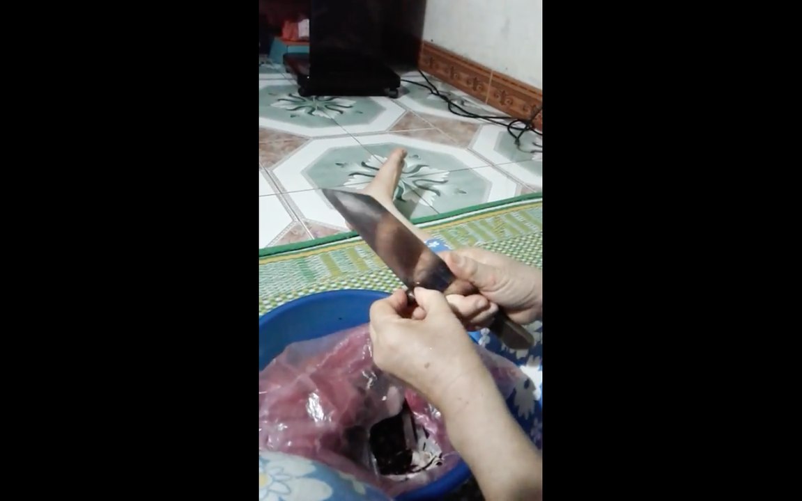 Hatsentuoi.net - Hạt sen tươi - Hạt sen khô giá rẻ : 0962613638