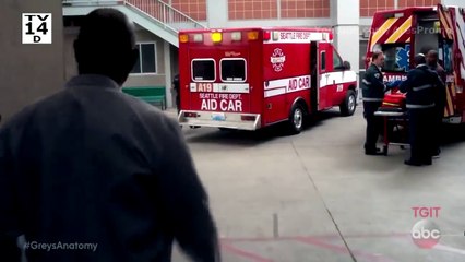 Grey's Anatomy Season 14 Episode 20 (Online Streaming) ABC