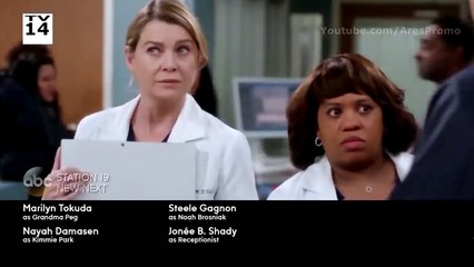 Grey's Anatomy Season 14 Episode 20 *Streaming*