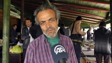 'Kazdağları Ot Yemekleri Festivali' - BALIKESİR