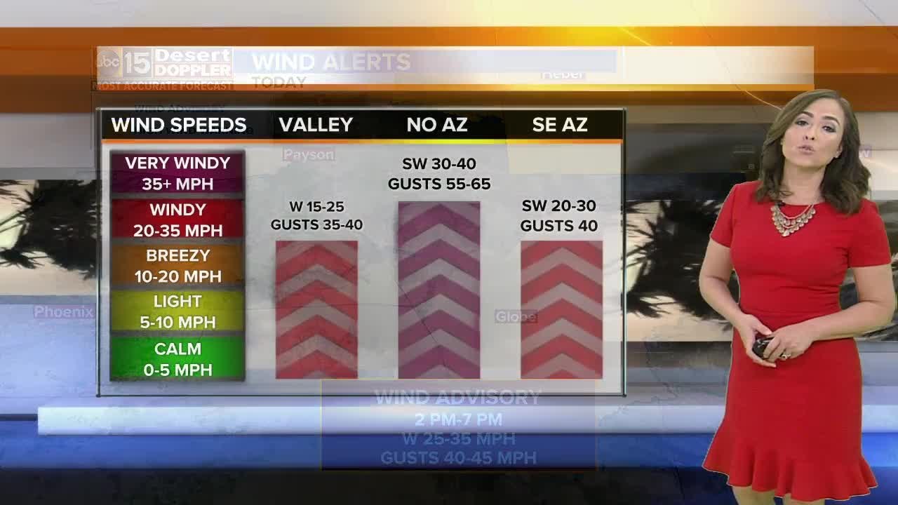 Windy day throughout Arizona