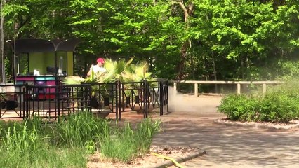 La 26e saison de Walibi sud-ouest débute samedi 21/04/2018