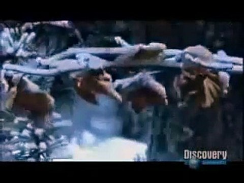 Zero Hours_ Montreal Canada ice storm 1998 disaster