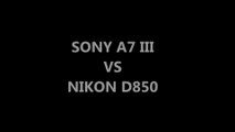 Sony A7 III vs Nikon D850