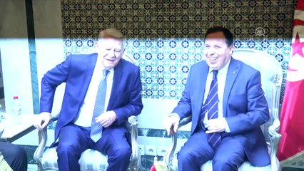 Romanya Dışişleri Bakanı Teodor Meleşcanu, Tunus'ta