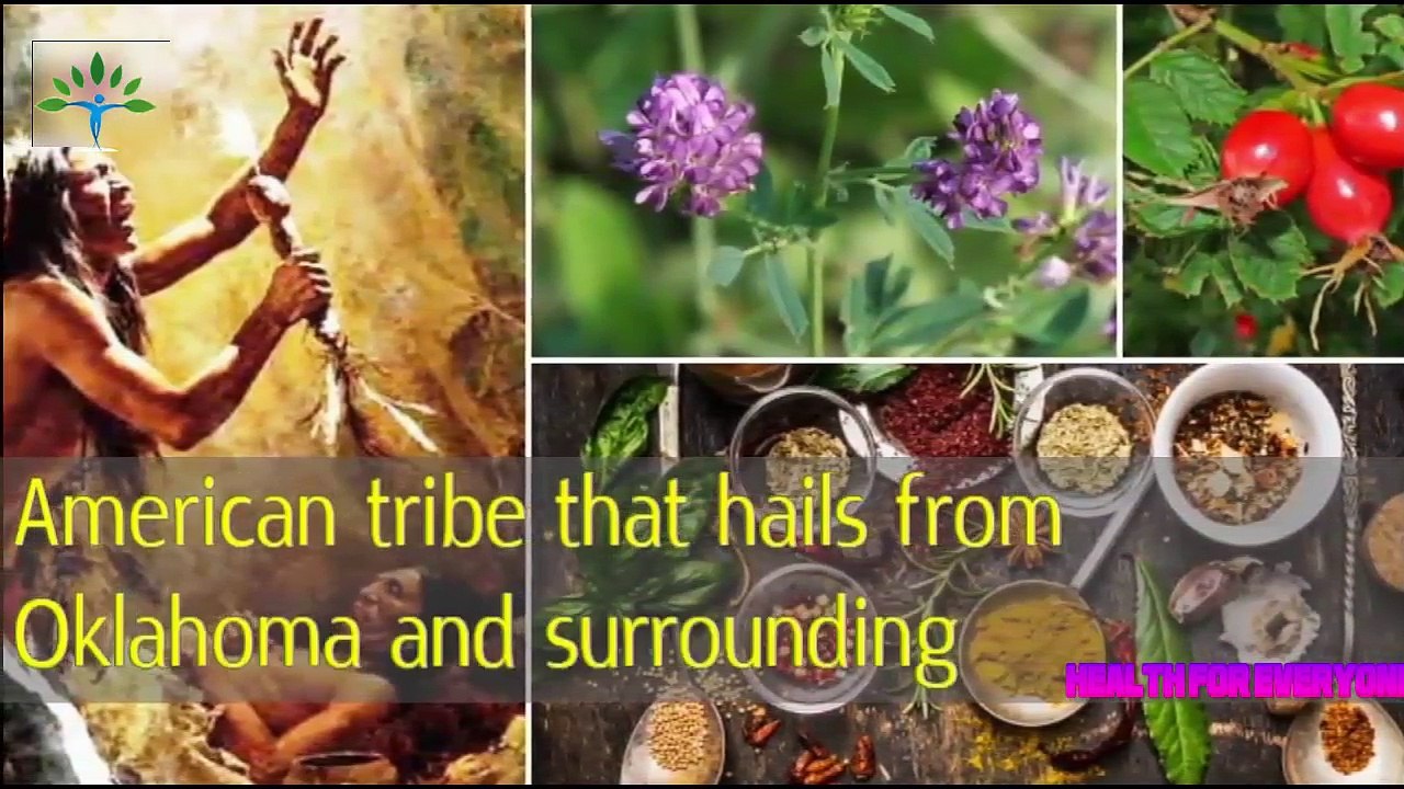 Health for everyone Native American plants are used to treat