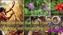 Health for everyone - Native American plants are used to treat everything - You should know