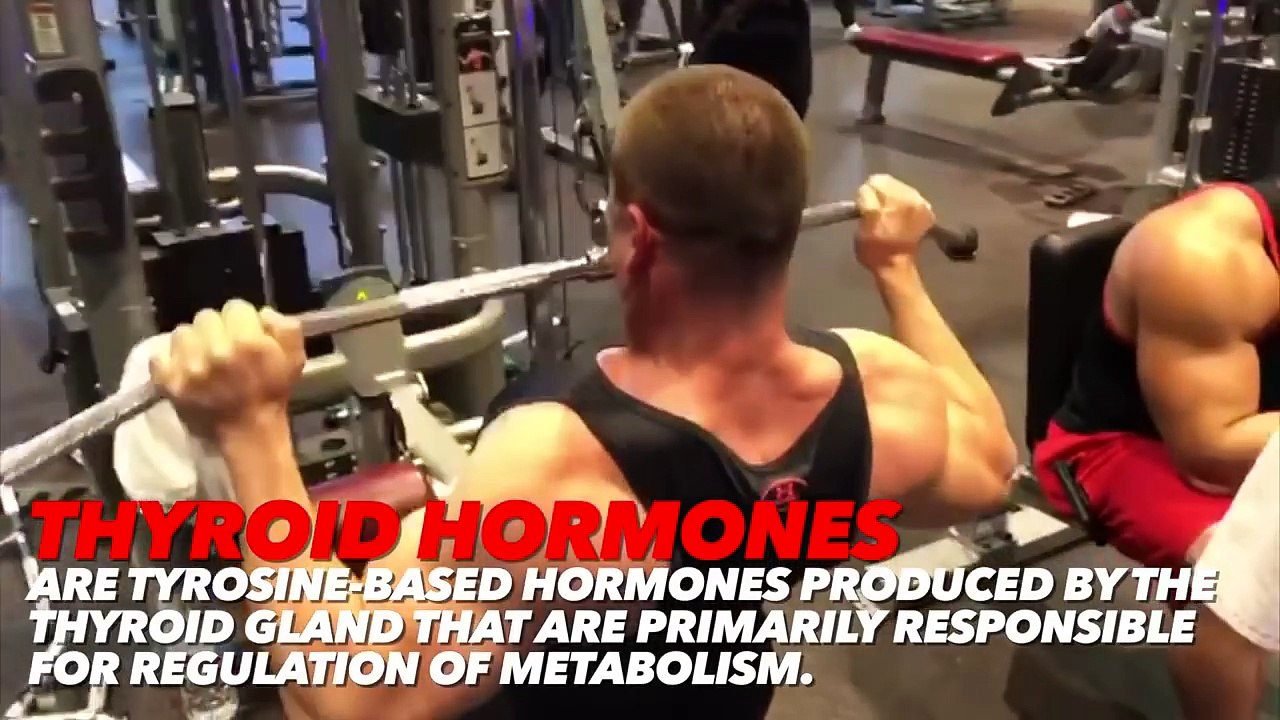 2 Ways To LOSE Your Gainz Fast