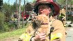 Firefighter Saves Dog from Fire the Day After Losing Her Own Dog to Cancer