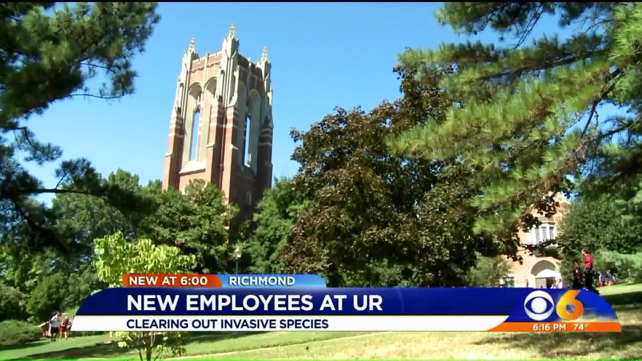 University to Use Goats on Campus to Remove Invasive Plants