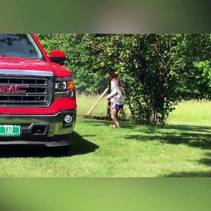 These roosters are so funny and crazy | NTD Funniest Videos