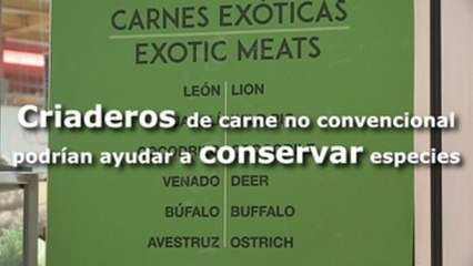 Criaderos de carne no convencional podrían ayudar a conservar especies
