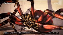[별별영상] 착시 일으키는 입체그림…'아나모픽' 예술