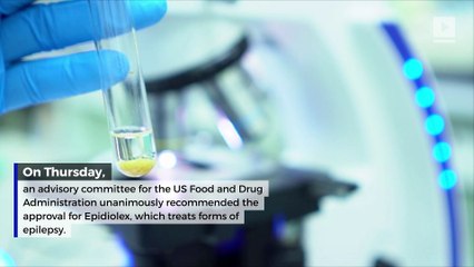 FDA May Soon Approve First Weed-Derived Drug