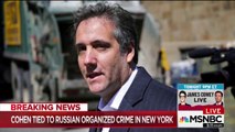 'Michael Cohen knows where the bodies are buried': Ex-Watergate prosecutor warns Trump has 'a lot to be worried about'
