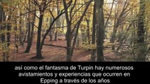 Los 5 Bosques Más Embrujados de Inglaterra