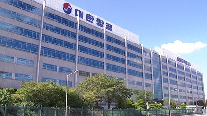 "대한항공 총수 일가, 밀반입팀 두고 명품 반입" / YTN