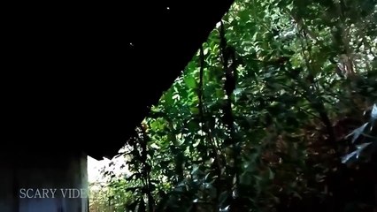 Unbelievable Paranormal Video - Scariest Supernatural Clip
