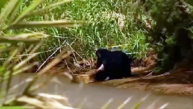 Los Secretos de Moisés(Jesus,bible Gateway,Biblia,semana santa 2016,LA BIBLIA) VIDEO