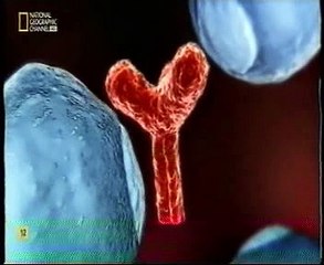 Vacunas contra el virus Ebola (rVSV-ZEBOV)