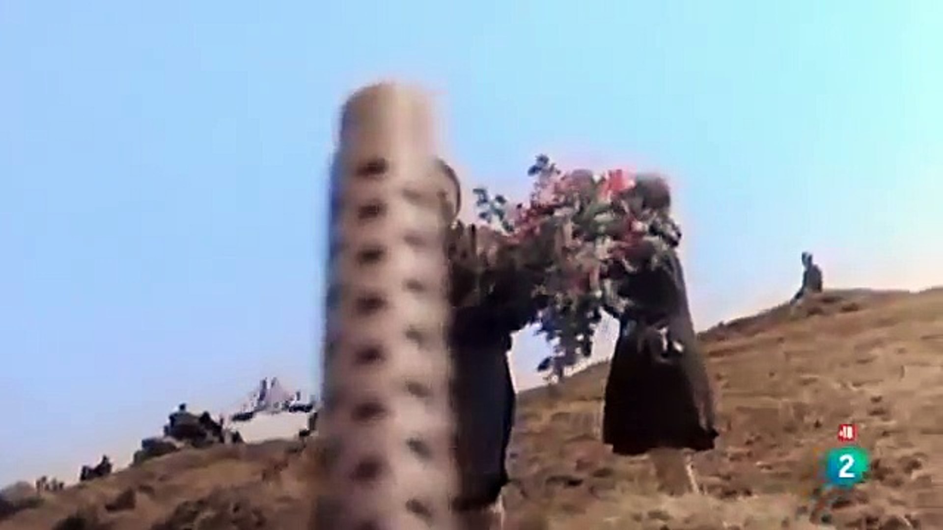 LAS ULTIMAS HORAS DE ALEMANIA,war documentaries,VIDEO ,DOCUMENTALES NATIONAL GEOGRAPHIC ESPAÑOL