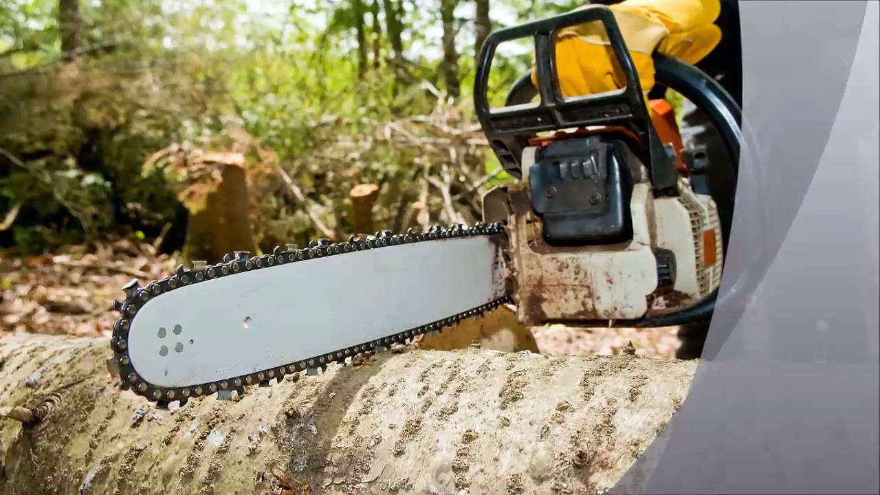 Pro Arbor Concepts - (334) 378-9832