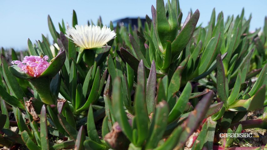 Essai - Mitsubishi Pajero 2018 : victime de la...