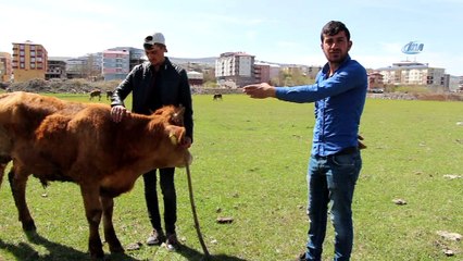 Çiftçiyi kuraklık korkusu sardı