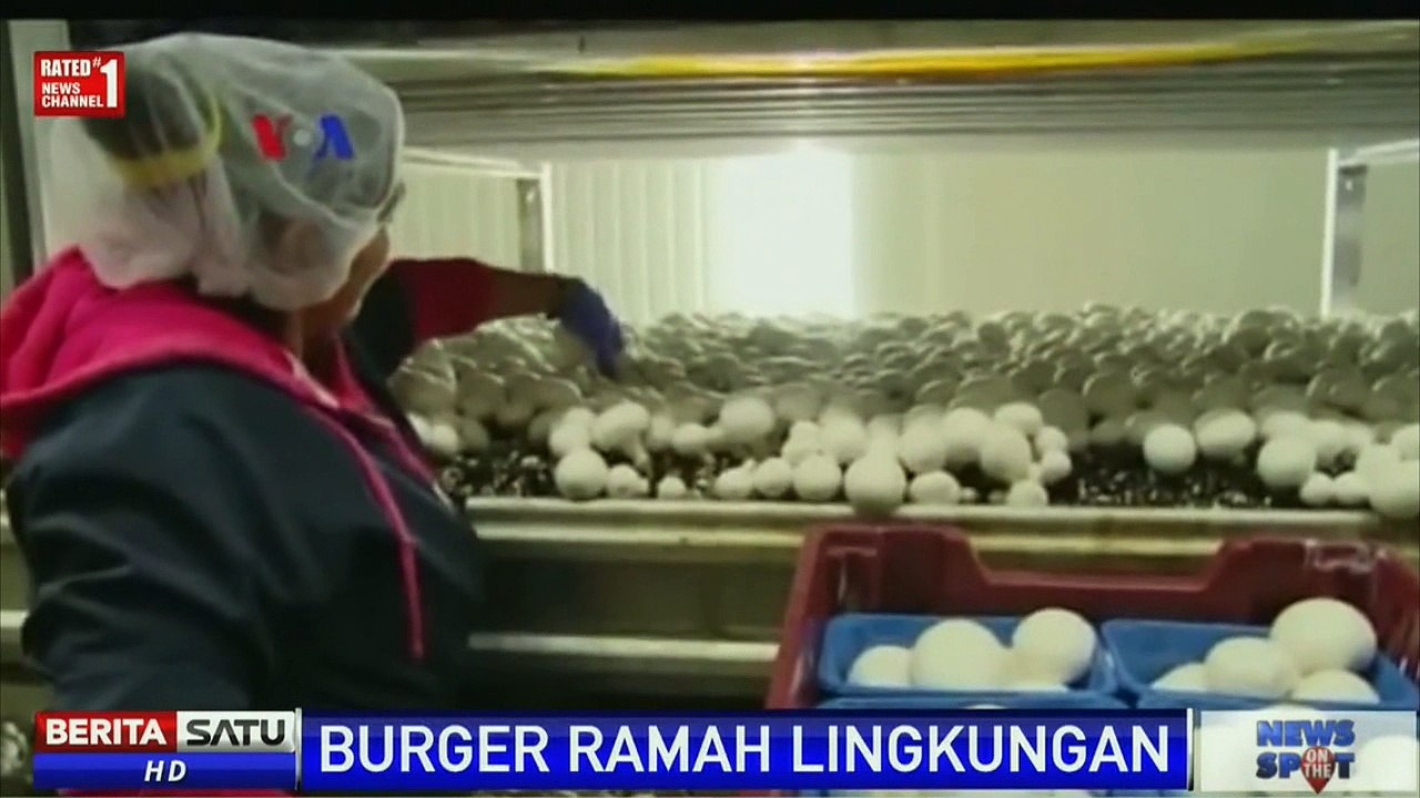 Burger Rendah Kalori Dan Lemak