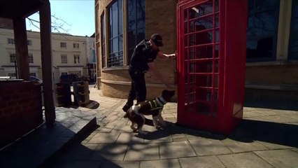 Kraliyet düğünü için güvenlik çalışmaları hızlandı