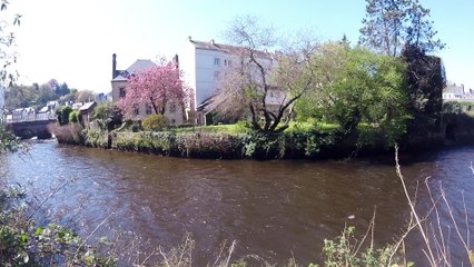 Quimperlé la rivière Ellé