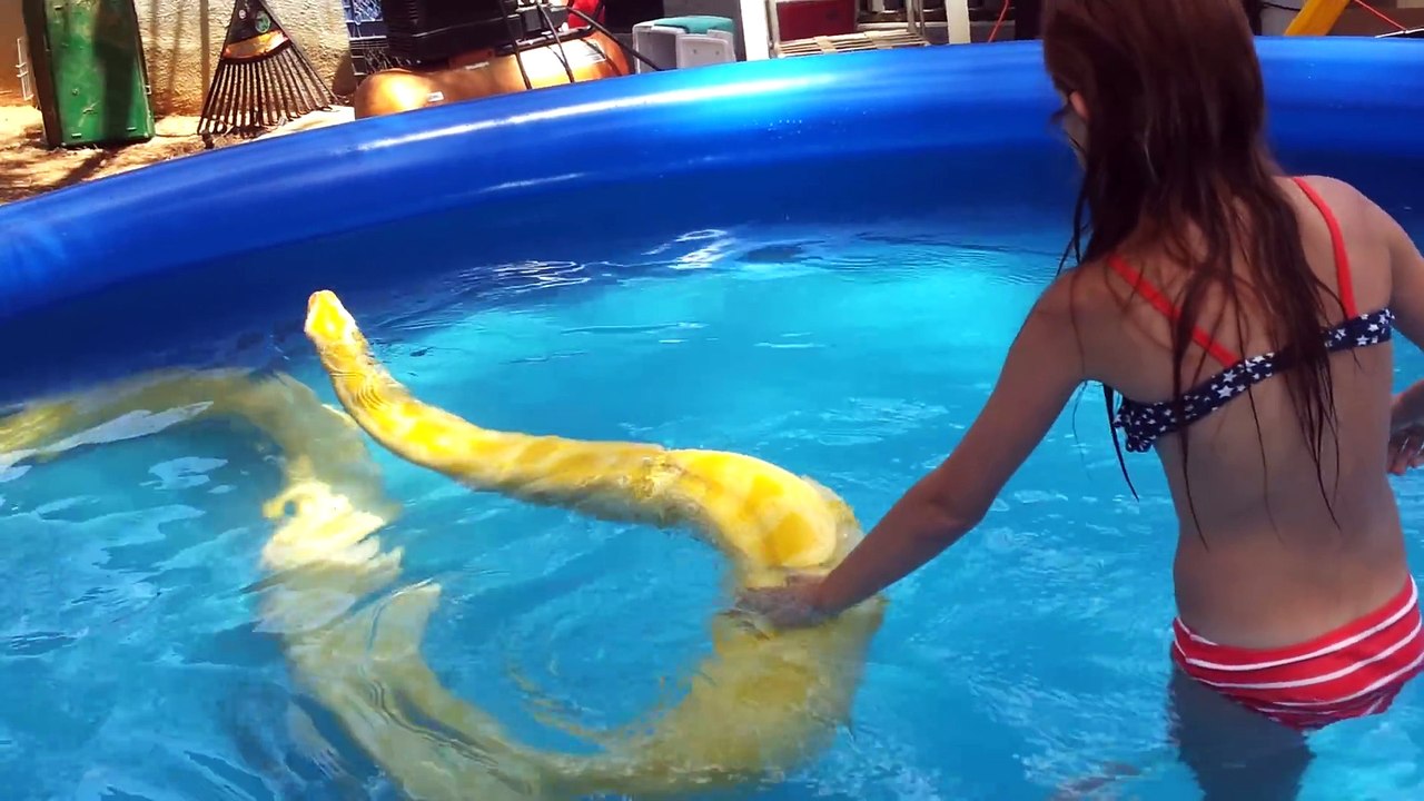 LITTLE GIRL MUST HAVE BALLS OF STEEL TO BE SWIMMING WITH THIS GIANT BURMESE PYTHON