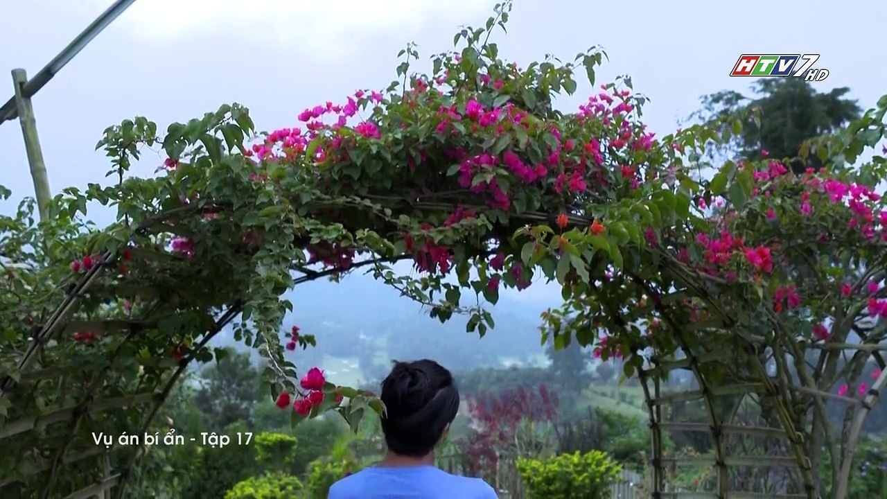 Vụ án bí ẩn - Tập 17