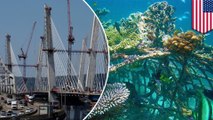 Old NY bridge to be used for artificial reefs in Long Island - TomoNews