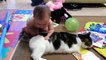 Cat Playing with Baby - Best of Cute Cats Love Babies Compilation - So Funny Part 6