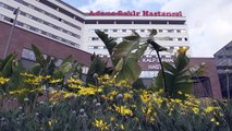 Adana Şehir Hastanesi bir milyon 280 bin hastaya şifa oldu
