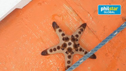 What to expect in Honda Bay, Palawan