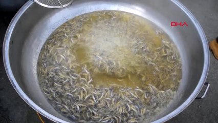 Bursa Vatandaşlara Hamsi İkram Edildi