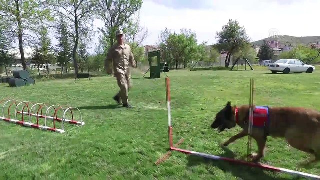 Terörle mücadelenin mayın ve EYP avcılarına hassas eğitim - NEVŞEHİR
