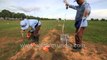 Using rats to search for land mines in Cambodia - Innovative idea