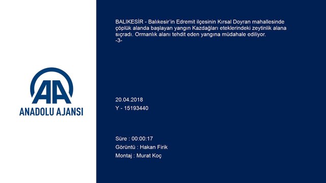 Edremit'te yangın (3) - BALIKESİR