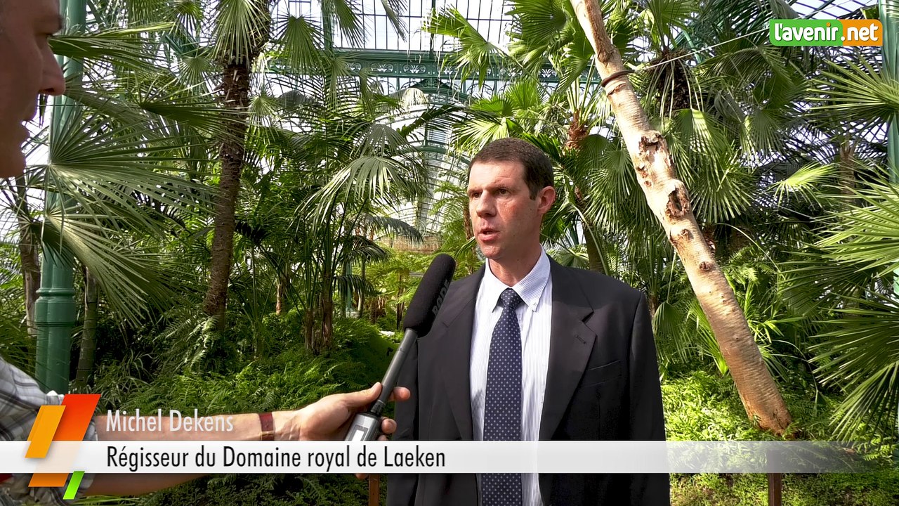 L'Avenir - Visite des serres royales de Laeken - 2018