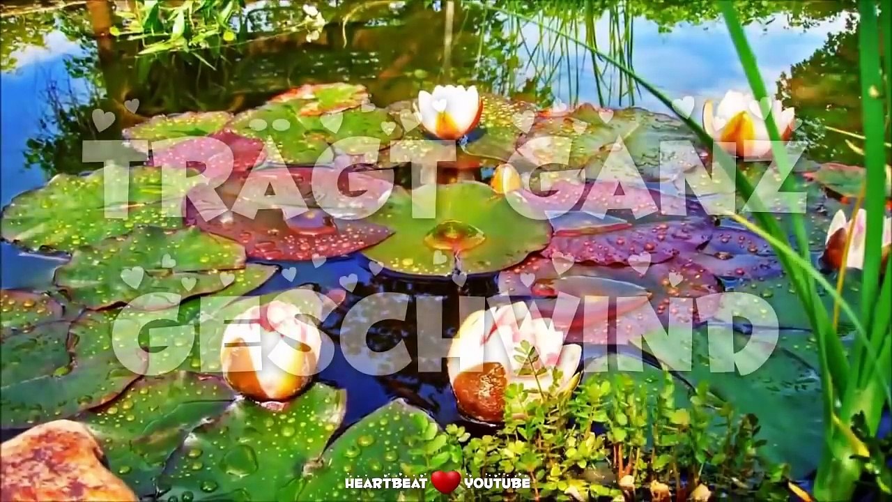 Guten Morgen Gruß für Dich.Ein Blatt im Wind