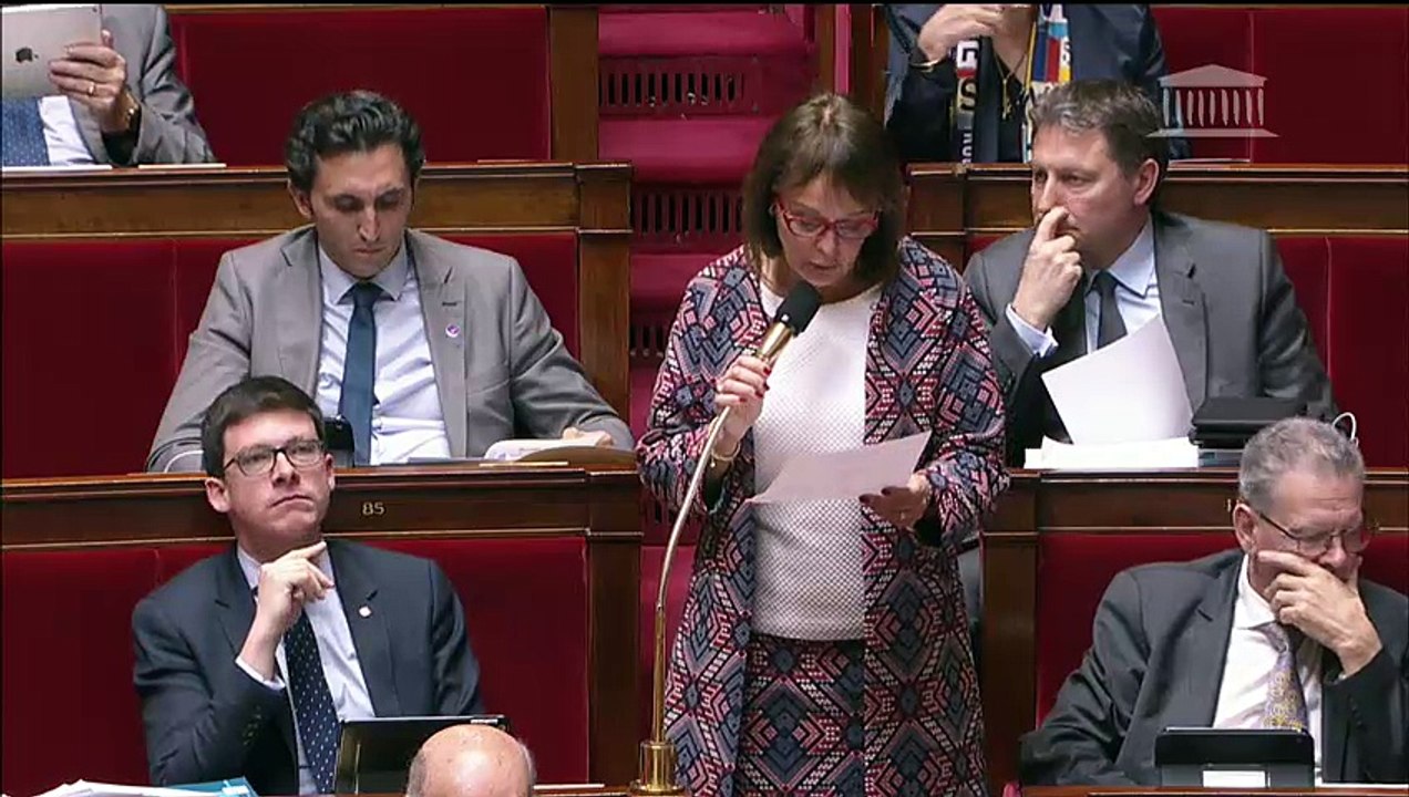 Intervention Brigitte KUSTER loi Immigration article1