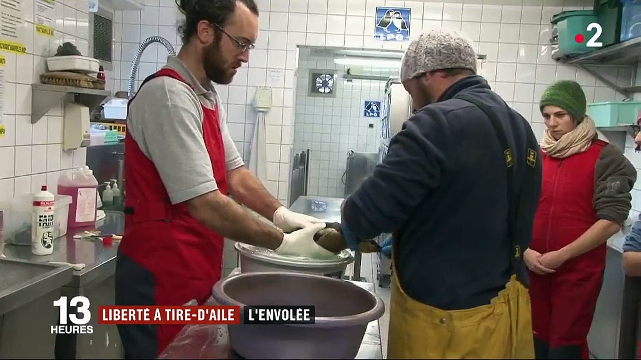 Feuilleton : la liberté à tire-d'aile (5/5)