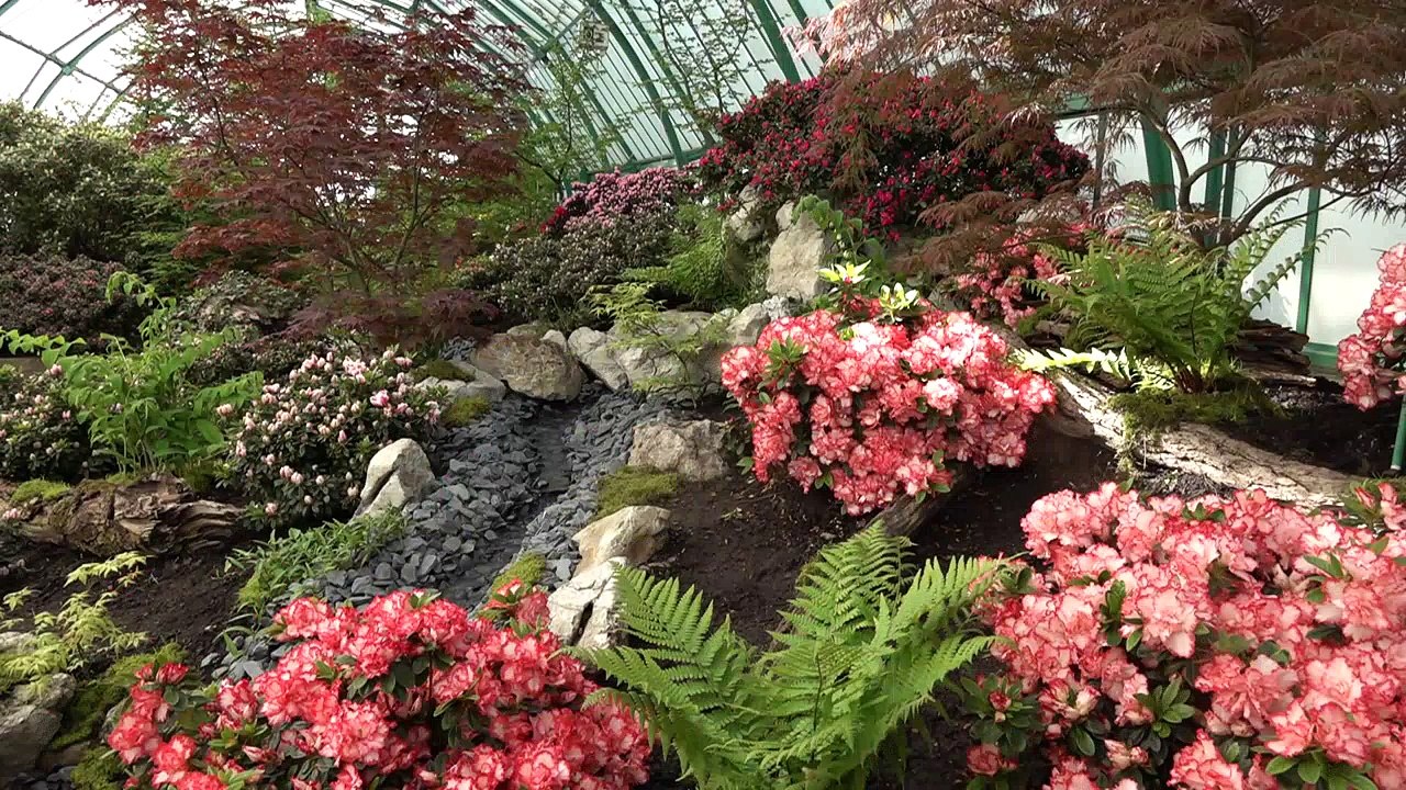 Les Serres royales de Laeken à nouveau ouvertes au public