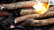 Bushcraft breakfast wild camping in the woods scottish breakfast campfire cooking