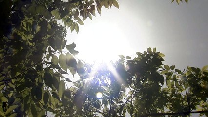 남부지방은 벌써 초여름...대부분 30도 넘어 / YTN