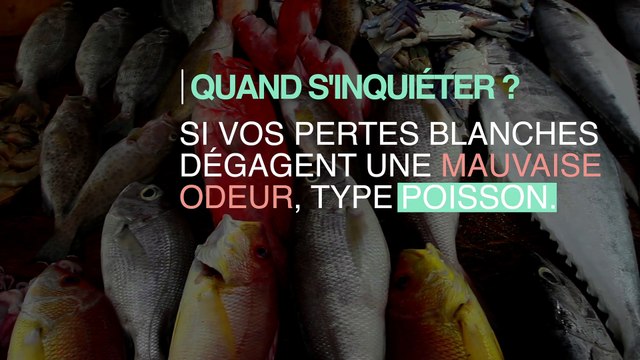 Pertes blanches : quels signes doivent inquiéter ?